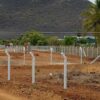 Fencing Posts and Poles Kenya