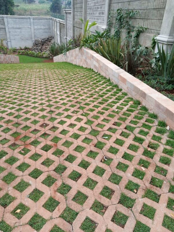 Grass Paving Blocks