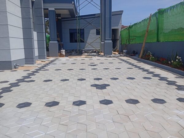 60mm Hexagon Grey Black Cabro blocks-Paving Blocks