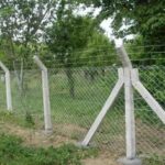 How many concrete fencing posts are needed per acre in Kenya